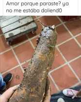 CFVzavO.jpeg