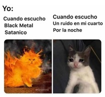 CQ7aZp6.jpeg