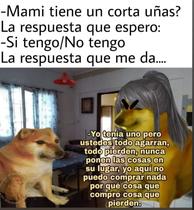 CkKxr6G.jpeg