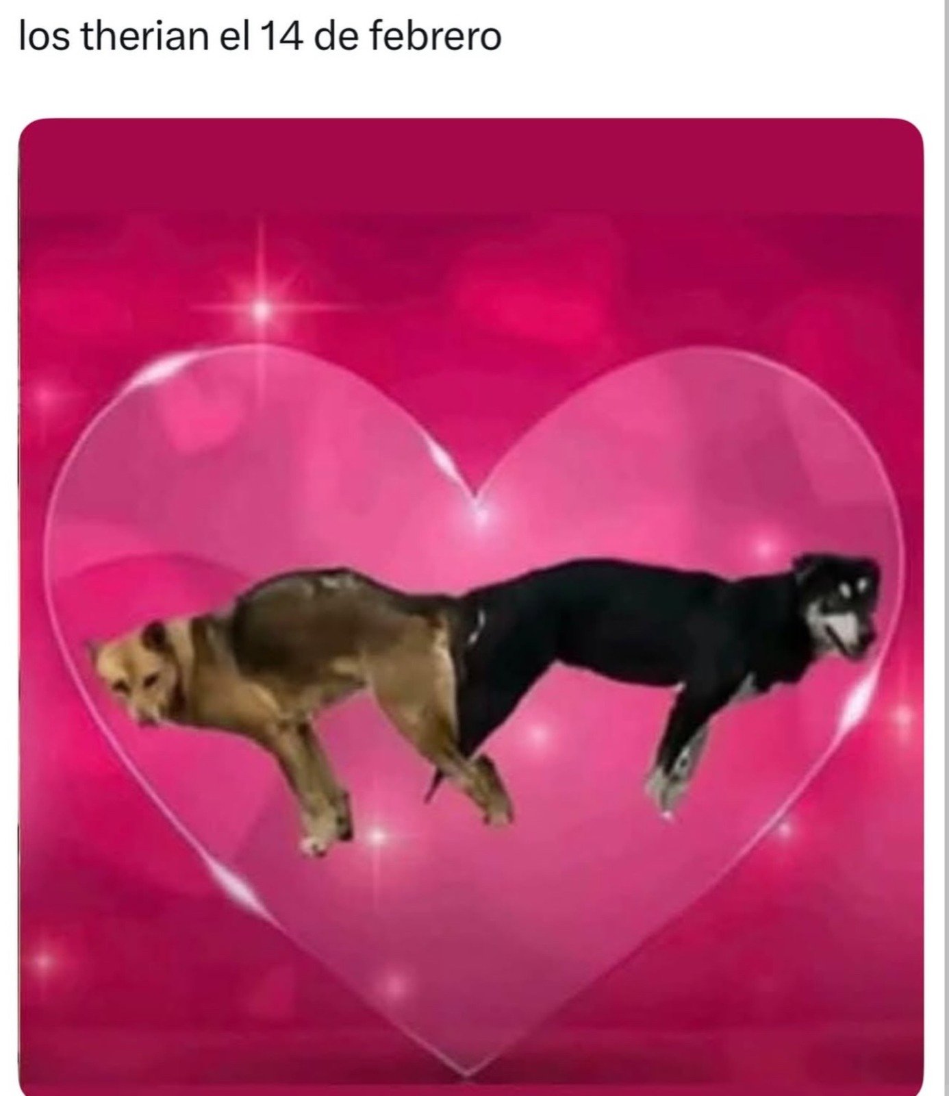DNYIjP7.jpeg