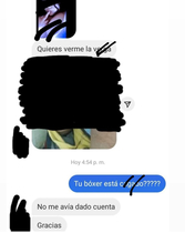 Dpmzo01.jpeg