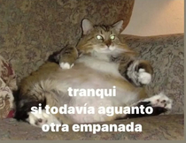 EkAwBpg.jpeg