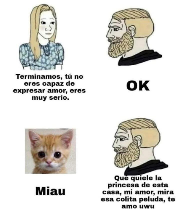 EwsMLk3.jpeg