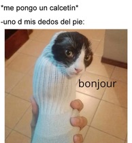 EzCt7H9.jpeg