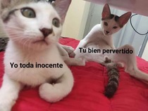 JsnZmUp.jpeg
