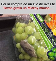 Jw1Biat.jpeg