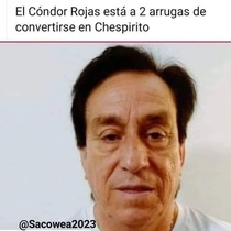 LE9S8TU.jpeg