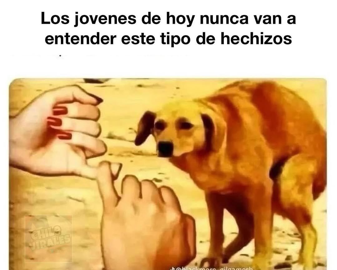 LXS0Rx1.jpeg