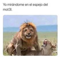 LgJiRyn.jpeg