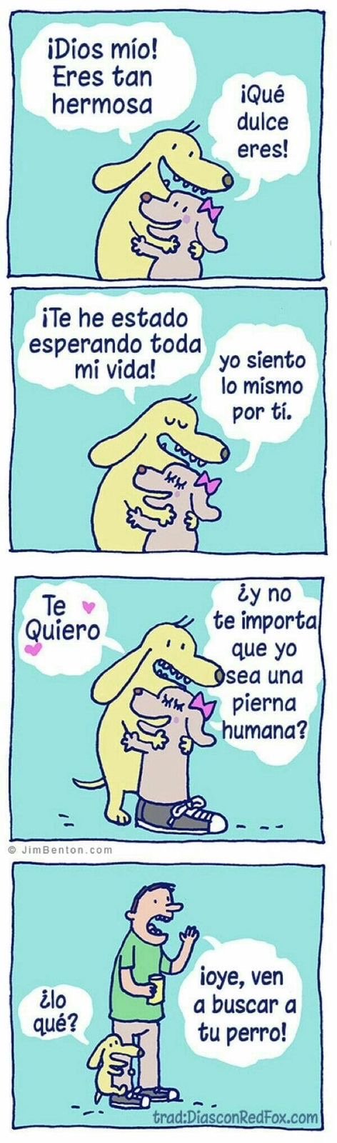 MKrL5u1.jpeg