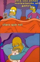 MTB7mbS.jpeg