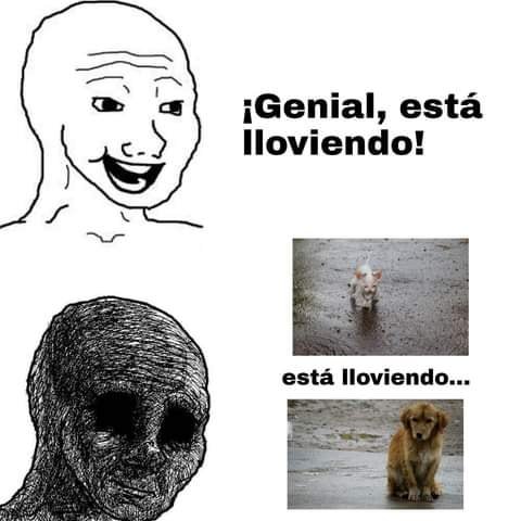 MideDUA.jpeg