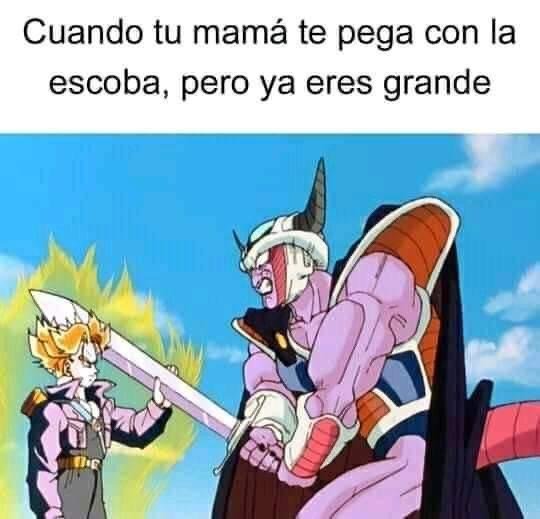 Myl24GX.jpeg