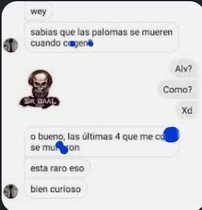 OjiR4g3.jpeg