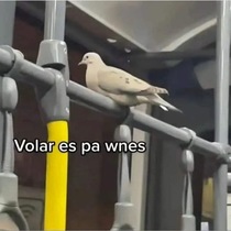 PWuoSsp.jpeg