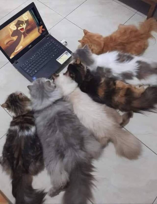 Q9izuEg.jpeg