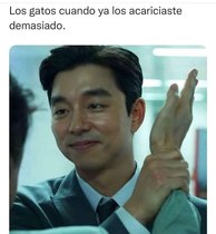 QOxnloI.jpeg
