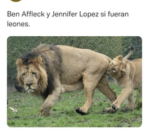 QSzaY5c.jpeg