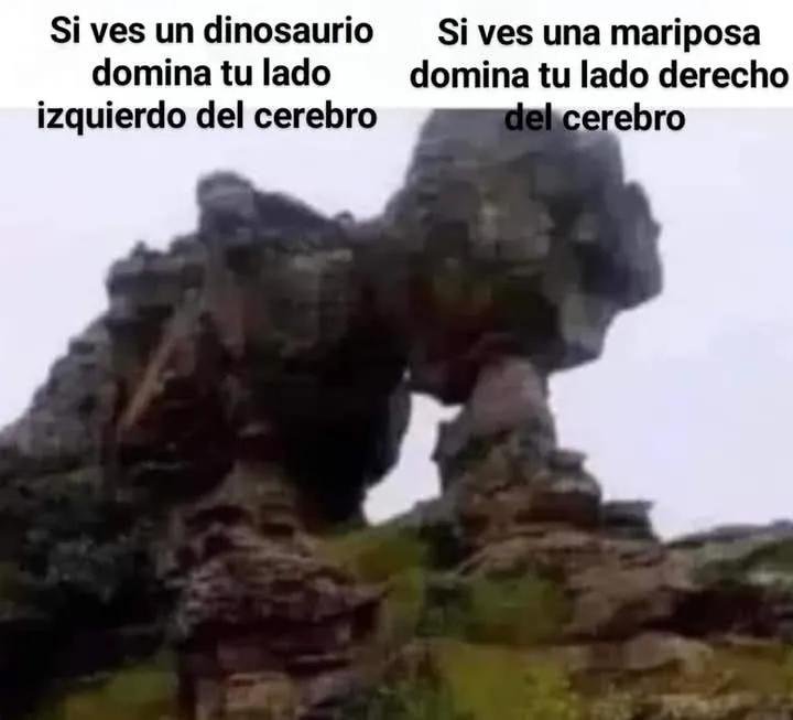 RZSUe6L.jpeg