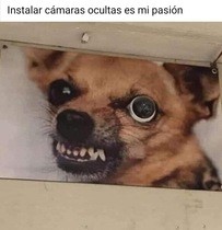 Rp5ubsi.jpeg