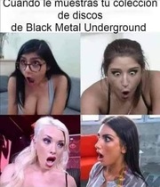 SHdhlsc.jpeg