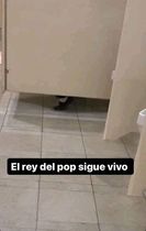 SOYM0az.jpeg