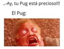 TGWYF5p.jpeg