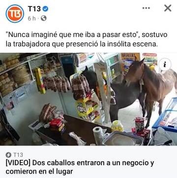 Tn5xSZW.jpeg