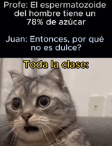 VFtkmeh.jpeg