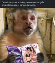 Vko7cYR.jpeg