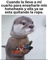 W8yz4Qh.jpeg