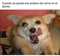 XgG83de.jpeg