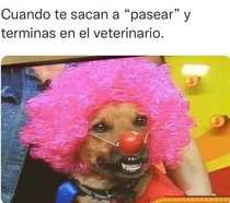 XujzqTh.jpeg