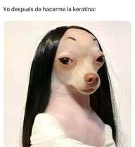 Y96jSal.jpeg