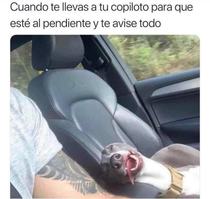 Zgc7QO6.jpeg