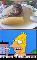 ZuMVcPJ.jpeg