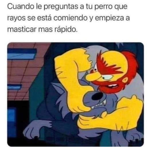 Zz4L3Uh.jpeg