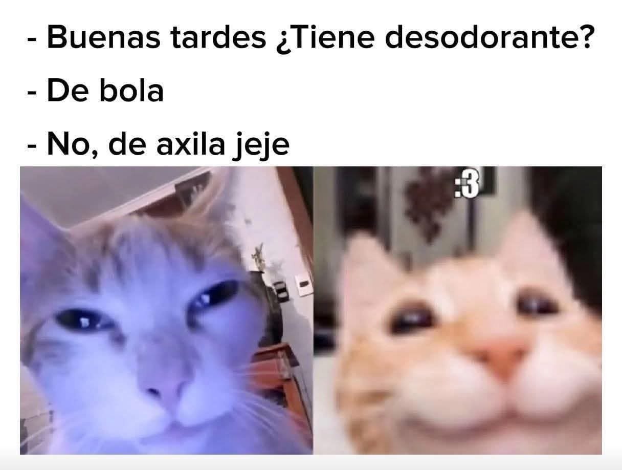 a1r5KtH.jpeg