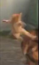 bDdR7ls.png