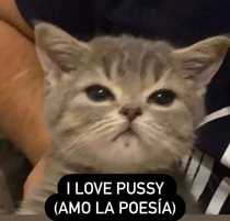 bzKrvjO.jpeg