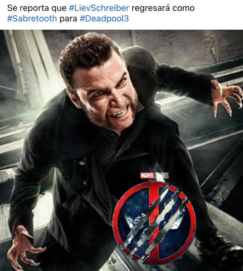 cS13xjQ.jpeg
