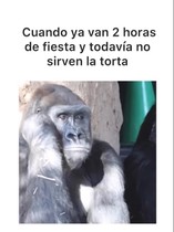 cgswq5Q.jpeg