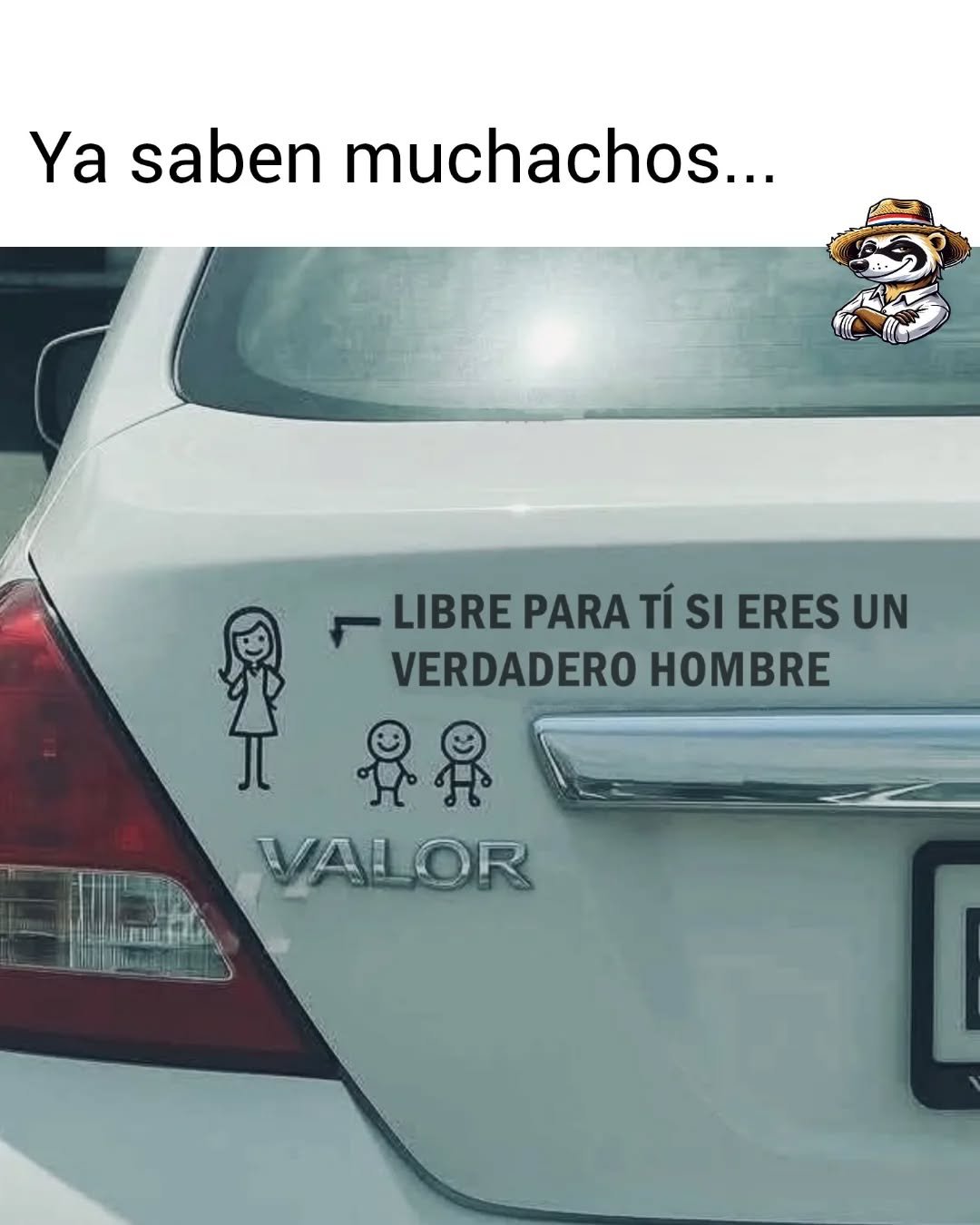 dA1uWNv.jpeg
