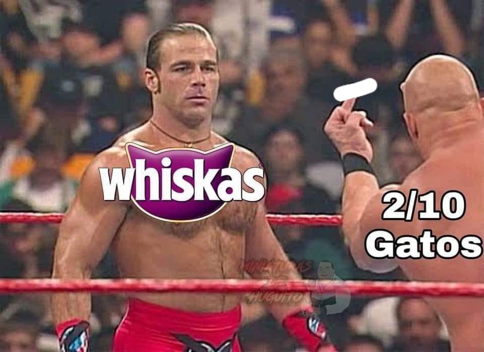 dOGknJr.jpeg