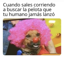 e0FwmGf.jpeg