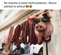 fEYKnkM.jpeg