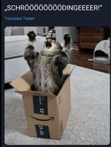 fNSAtQg.jpeg