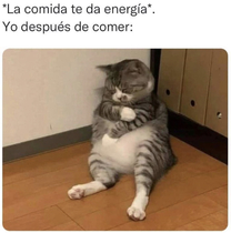 gECo3pb.jpeg