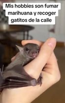 gNhzawQ.png