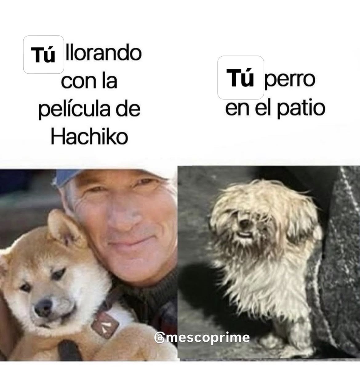 hLHgbTm.jpeg